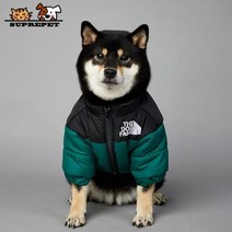 2023 SUPREPET패딩 개 겨울 옷 따뜻한 방풍 솔리드 코트 코튼 디자이너 대형 강아지 액세서리, green+S