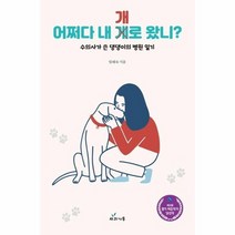 어쩌다 내개로 왔니, 상품명