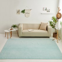 모두의러그 데일리 단모 극세사 사계절 러그 200X200 정사각