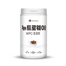 뉴트로웨이 WPC 농축유청단백 단백질보충제 단백질쉐이크 초코맛 600g, 1개
