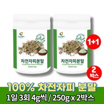 100% 차전자피 분말 주스 어린이 식이섬유 가루 파우더 자전피 차전피차 섬유소 약국차전자피 차전자 질경이씨 차전자푸, 2박스