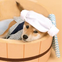 고양이쿠션 펫 겨울 애견방석, 본품