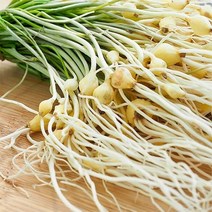 팜커머스 국내산 세척 달래 500g, 1개