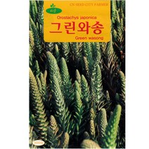 와송씨앗 3000립, 1개