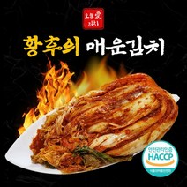 속이 꽉찬 종가집 어머님 손맛 매운 국산 배추김치 1kg 2kg 3kg 5kg 10kg 포기김치 겉절이 전라도김치 김장김치 보쌈김치 업소용김치 국산배추김치 남도김치 맛있는김치