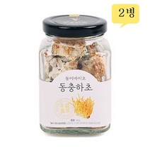 동이바이오 동충하초 밀리타리스 코디세핀 단백질 동충하초물 동충하초차 국내산, 2병, 40g