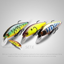 루어 BEARKING Squad Minnow 3 개 세트 당 95mm 14.8g 65mm 6g 텅스텐 웨이트 시스템 SP 낚시 미끼 모듬 색상 워블러 크랭크 미끼, 65mm 세트.E