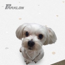 강아지매트 거실 DIY 애견 방수 반려 매트 베란다 쿠션 강아지 롤 묘 애견매트 ghddprjs*973886110gS, 무지베이지(15T)(2장)