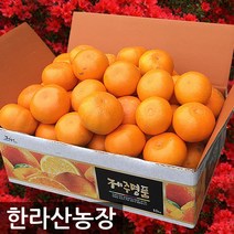 한라산농장 천혜향 10KG 5KG 농장직송 홍보용, 천혜향 5KG 랜덤1종 발송(소/소중/중/대), 1개