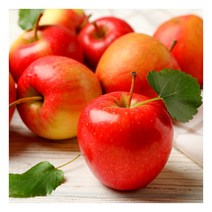 햇살가득 경북산 햇 부사사과 2kg 10~12과, 1개