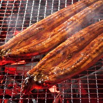 명장어 민물장어 양념구이 1kg 6미, 1box, 1kg(6미)