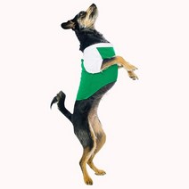 아메리칸 어패럴 American Apparel 7부 소매 강아지 래글런, Kelly Green/White