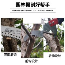 사과나무 대추나무 소나무 가지치기 감나무 배나무 살구나무 고지가위 장대 전지 가위 컷 톱 가 위 이 위 가 위 긴 정원, 4개 섹션 6미터(캔버스 가방 포함)