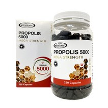 [마더네스트] 프로폴리스 5000mg 250정 프리미엄, 1개