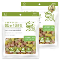 라이브잇 굿데이 맛있는 유산균껌 강아지 간식, 22개, 300g, 소고기
