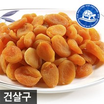 장수왕 건살구500g /말린살구 건조살구 건과일, 1봉, 500g