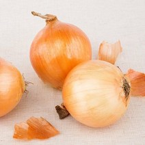 단단한 햇 양파 5kg 특, 단품