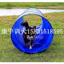 강아지 어질리티 반려견 훈련소 펫피트니스 애견유치원, 1.8미터 터널 55cm