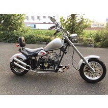 할리 110CC 미니 모터사이클 성인 미니스쿠터 소형오토바이 소형 레저용 바이크, 실버125cc