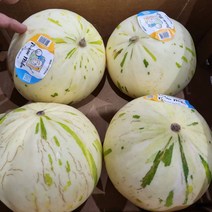 피카소메론 허니듀 머스크 고당도 2kg 4kg, 허니듀 2수(2kg내외)