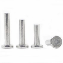 지베렐린 플랫 헤드 리벳 10-50 개 M2 M2.5 M3 M4 M5 M6 M8 알루미늄 합금 솔리드 리벳 GB109, 10 25mm_07 M8 5pcs