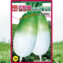 김장무 씨앗 김장무우 씨 종자 12g, 1개