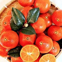 벌크 제주도홍매향 제주도명품과일 3kg 소과 하우스홍매향