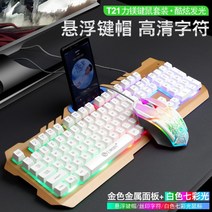 Force 데스크탑 화려한 발광 무소음 핸드폰 거치 배그 콜오브듀티 리그오브레전드 롤 키보드 마우스노트북, none, 키보드 마우스 세트, T21화이트메탈 키보드마우스세트(레인보우라이트