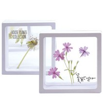 식물액자 투명 액자 하바리움 압화 곤충 대 1인용, 1인용_대_받침B