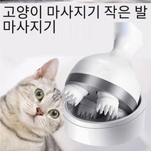 애완동물 강아지&고양이 헤어 브러쉬 다기능 자동 두피 마사지기 충전식 화이트 1개