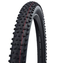 [정품] Schwalbe 슈발베 록et Ron 에보 슈퍼 레이스 29