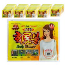 티피지 일반형 온종일 화롯불 붙이는 핫팩 40g, 30개