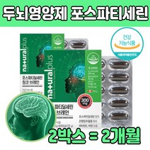 포스파 티 딜 세린 300mg 대두 레시틴 인지질 아연 마늘추출분말 아르기닌 홍삼 은행잎 징코 브레인 뇌 포스 타 새린 먹는 비타민 캐나다 건강 기능식품 기억력 인지력 개선 2박스