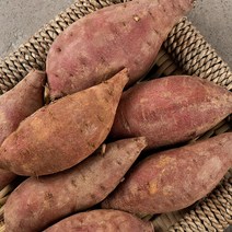 싱싱유통 해남 고구마, 10kg 못난이, 1개