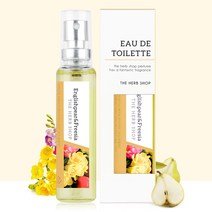 더허브샵 가성비향수 데일리향수 잉글리쉬페어앤프리지아 18ml, 1개