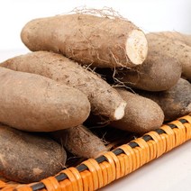 2022년 안동마 생 산마 상품 5kg, 상 5kg