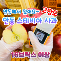 [백화점납품] 안동 꿀사과 고당도 스테비아 사과 못난이 선물용 부사 5kg 10kg, 가정용(흠과), 10kg+1kg (중과+중소과 28~38과)