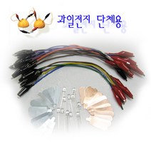 과일전지 만들기 [단체용/10명1세트]