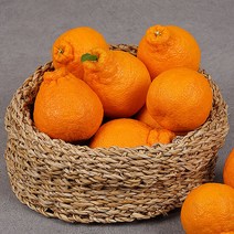 제주 한라봉 가정용 사이즈혼합 9kg, 단품