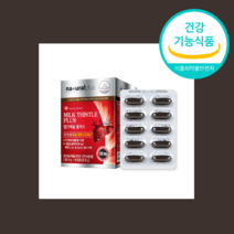 밀크 씨슬 시술 시스 추출물 간 건강 도움 SILYMARIN 선물 지인, 1000mgx120개