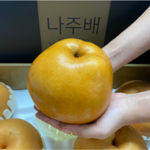 고당도 나주 햇배 신고배 가정용 5kg, 1박스