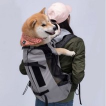 강아지 포대기 대형견 배낭형 이동가방 백팩 애견 앞가방, 기본형, 그레이