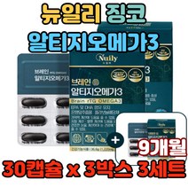 뉴일리 징코 알티지오메가3 EPA DHA ginkgo 빌로바 감소 플라보놀배당체 비타민 효능 추천 성능 효과 가격 30대 40대 50대 60대 70대 두뇌 뇌 영양제 판토텐산