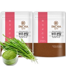 인차 국내산 부추 분말 가루 400g (200gX2팩), 선택완료, 단품없음