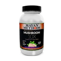 Mayan Methods 버섯 칠면조 꼬리 120캡슐 아가리쿠스