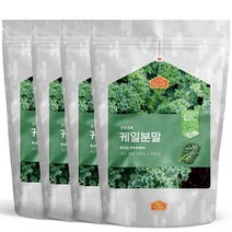 비옴 케일 가루 100% 300g x 4개