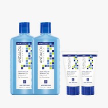 [안달로우 공식] 아르간 스템셀 두피영양 샴푸 340ml x 2개 + 샴푸 50ml 2개