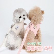 [리토가토] 러비 커스텀 캐릭터 강아지 하네스 5가지 색 (컴퓨터 자수) 동물학교 추천, 옐로우