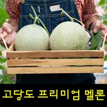 영화농산 프리미엄 멜론 40kg 곡성멜론 멜론가격 시세영화농산 프리미엄 멜론 40kg 곡성멜론 허니듀메론 칸탈로프멜론 하니원멜론 멜론가격 양구멜론 머스크멜론 여름과일 과일, 본상품