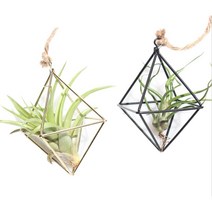 2021 hand made wicker 등나무 꽃 바구니 green vine pot planter hang vase container wall plant basket for gar, 28-36mm